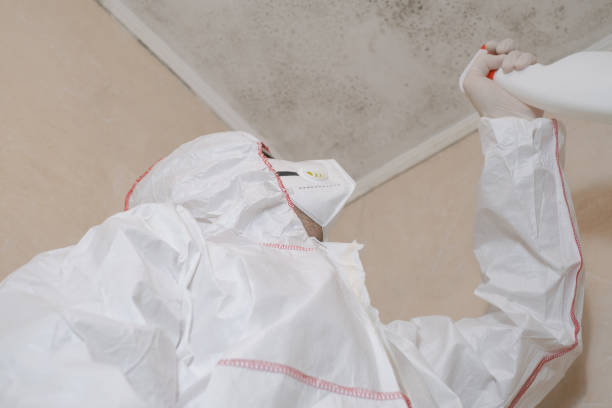 Best Certified Mold Removal  in Craig, AK